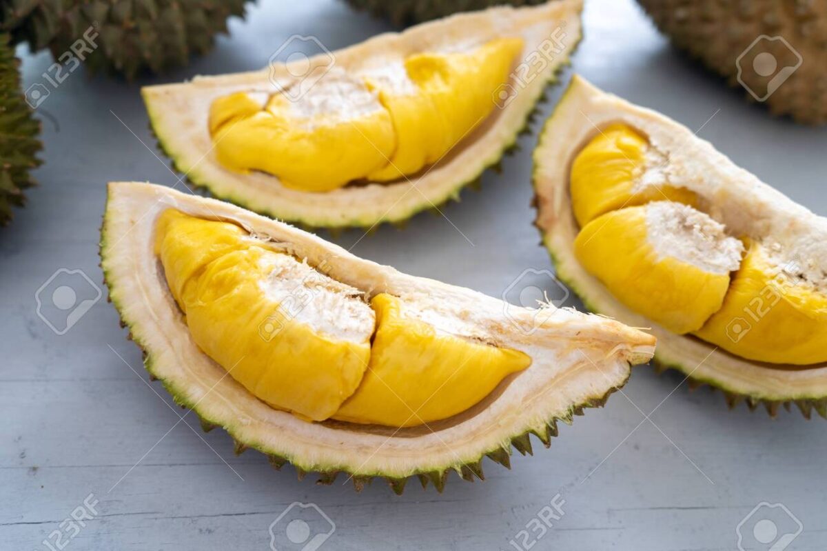 Durian Musang King, Si Raja Buah Yang Berharga